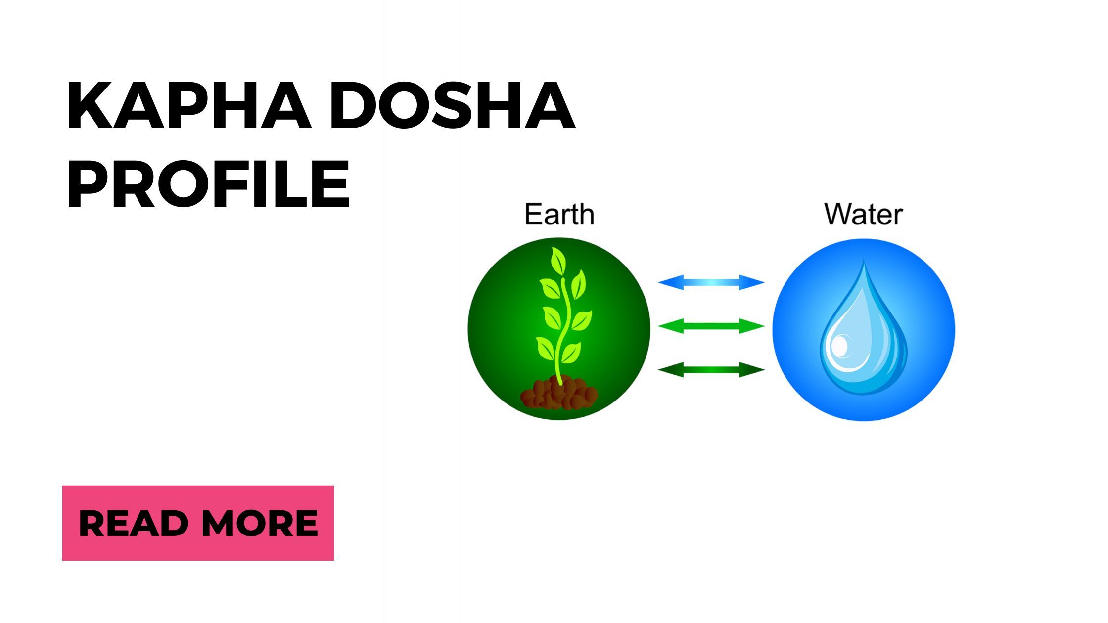 Kapha Dosha Ayurvedic Wellness Coaching