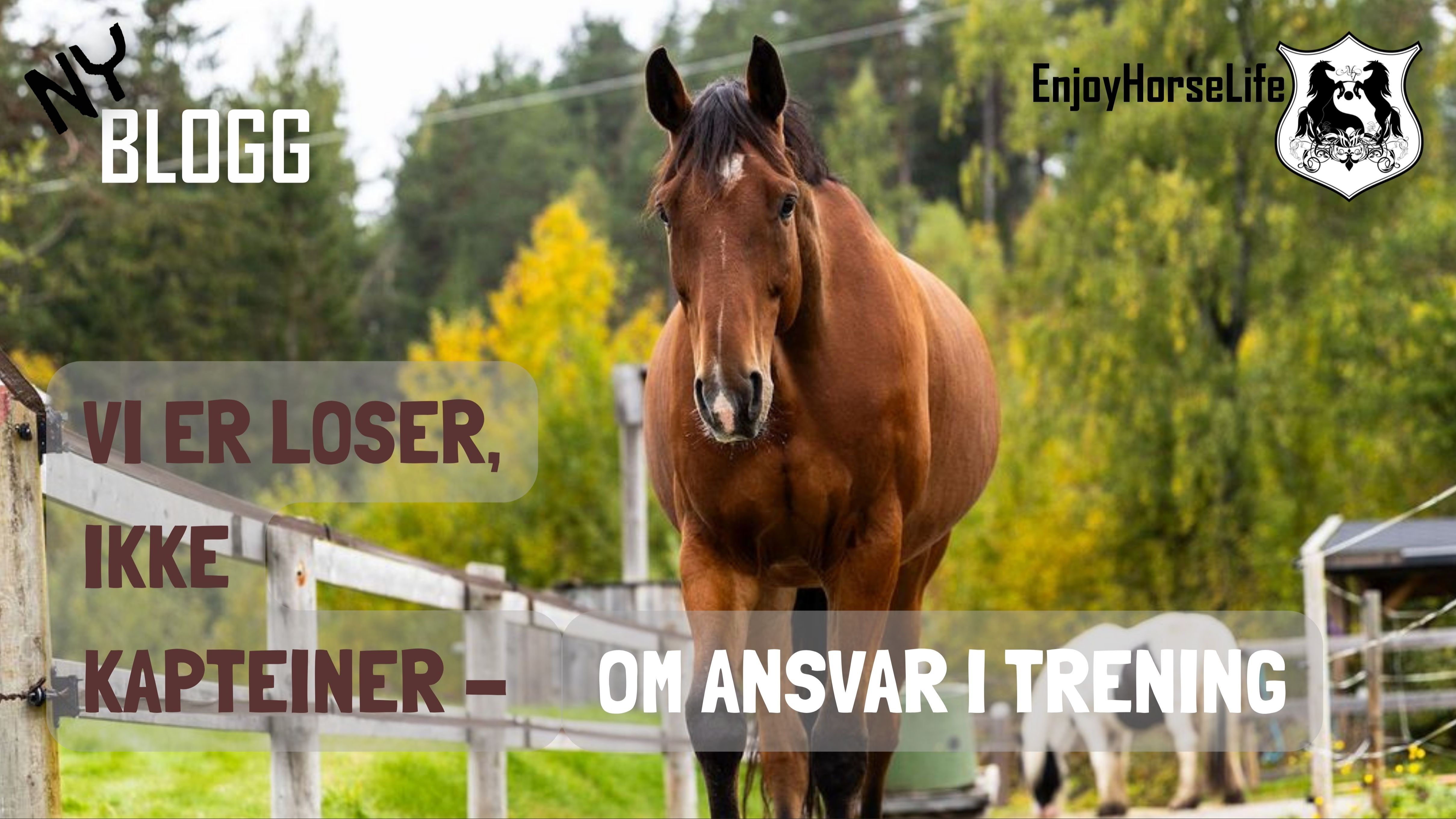 vi er loser ikke kapteiner - om ansvar i trening