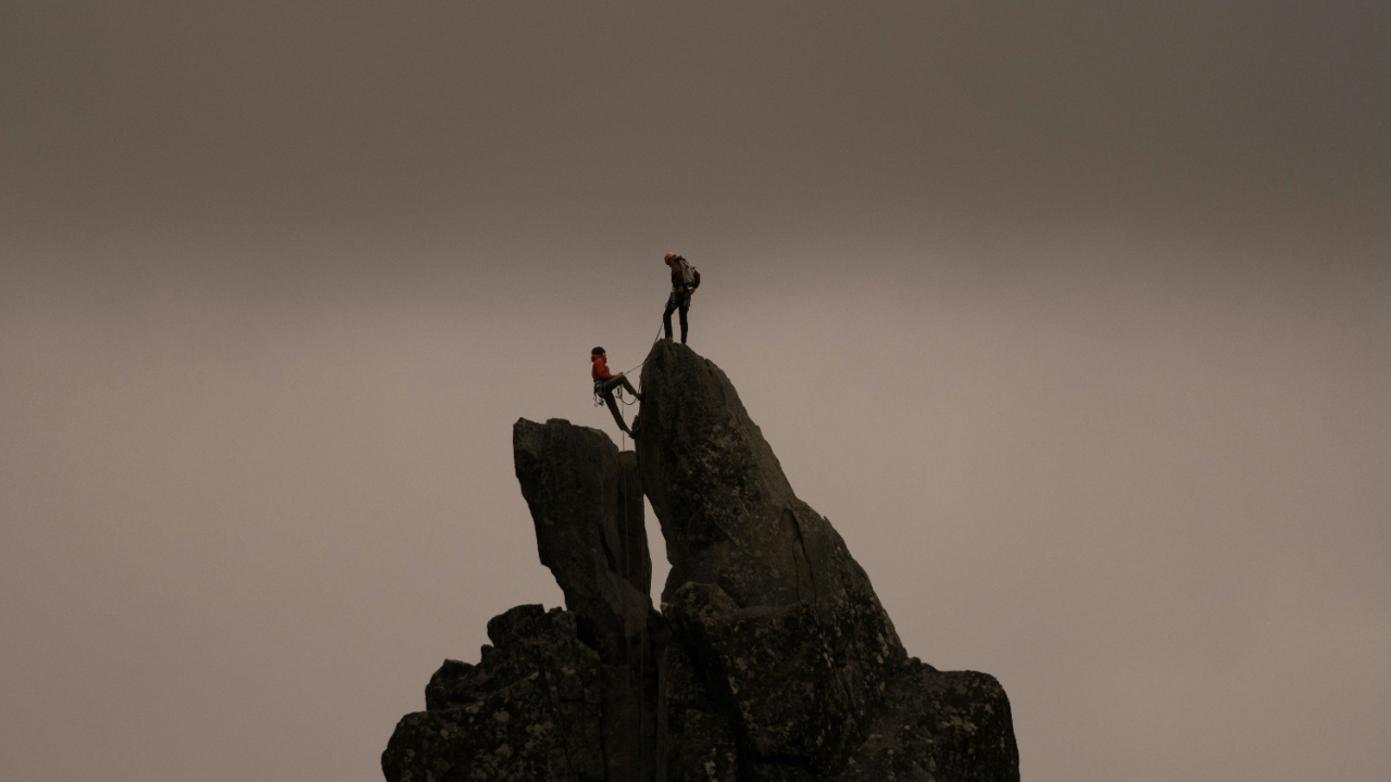 More than performance