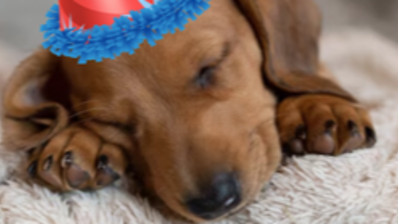 Doctor using micro-learning flashcards to stay engaged during medical exam study.