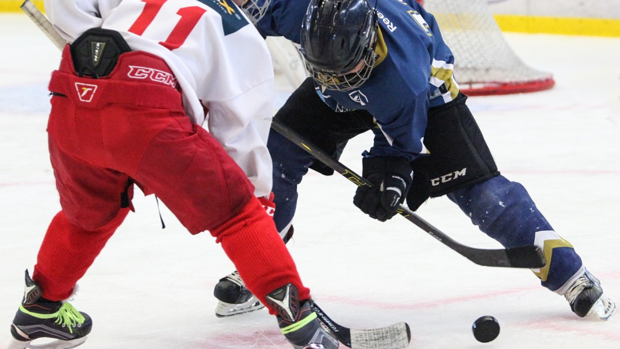 Real Estate Marketing Prediction