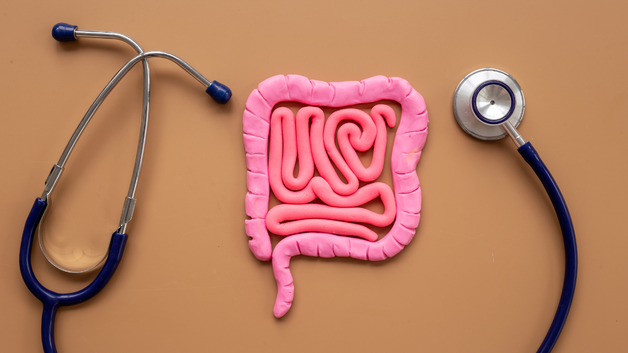 animation of the gut surrounded by a doctors stethoscope