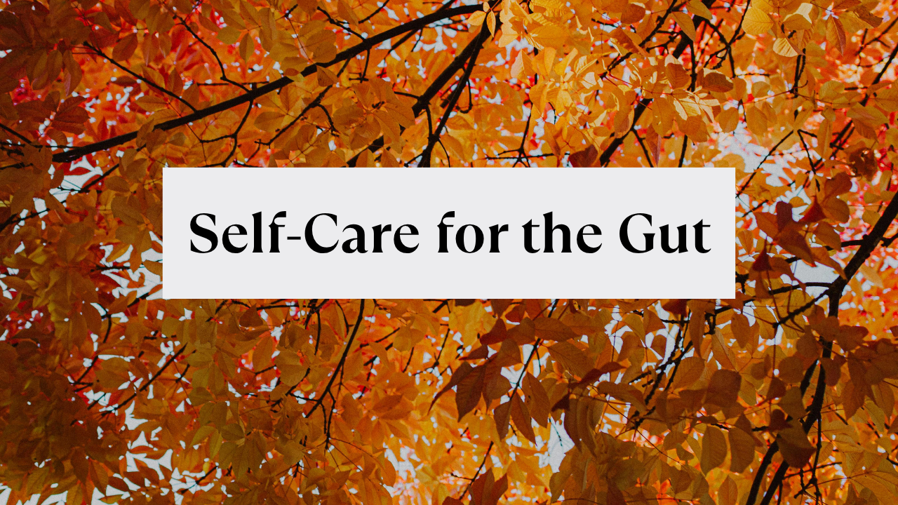 Background of fall colored leaves and trees with the overlay text reading "Self-Care for the Gut"