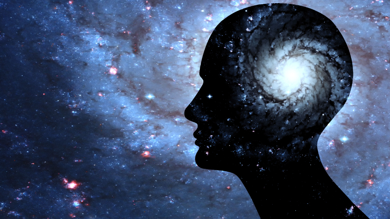 What Is Consciousness?