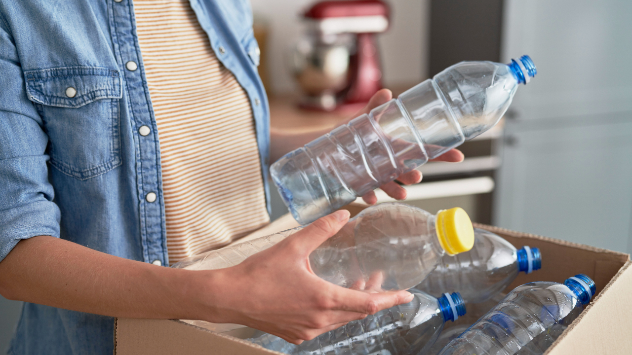 Dealing With “Eco-Guilt”