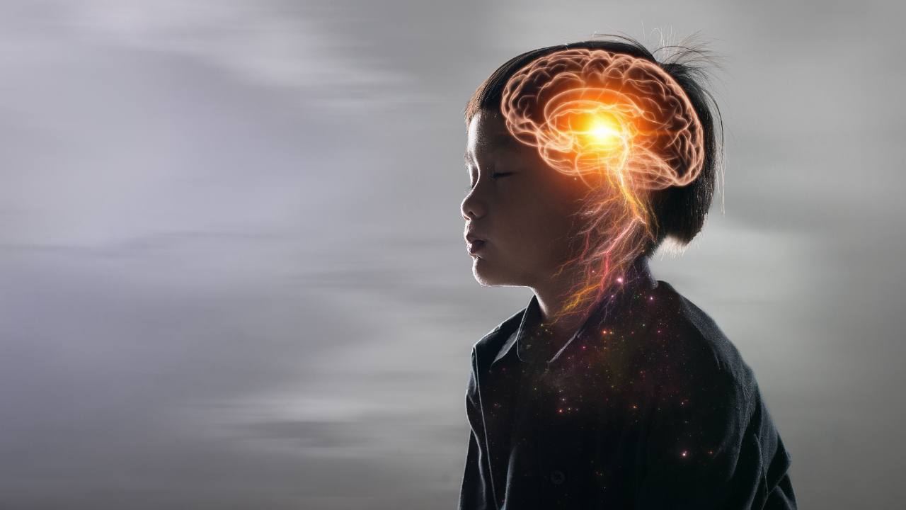The Triune Brain: Consciousness vs The Survival Instinct