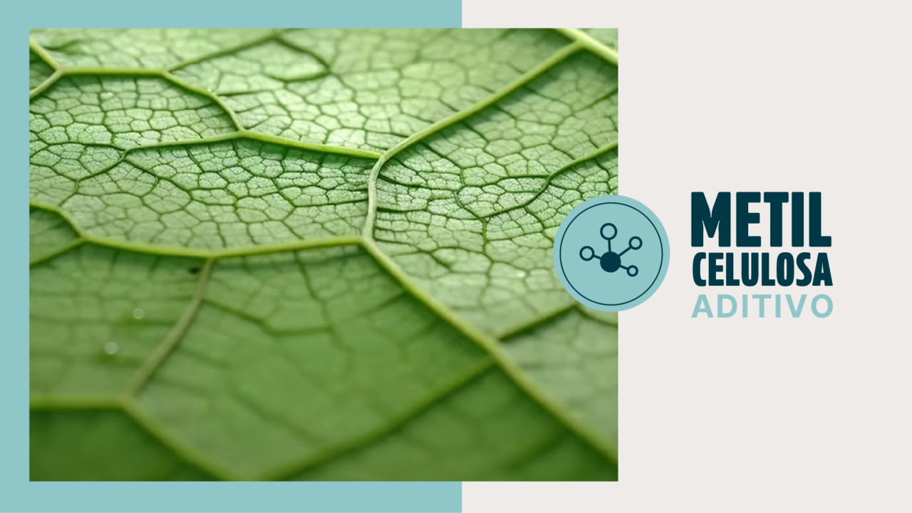 Hoja vegetal en detalle que representa la metilcelulosa como aditivo funcional de origen vegetal usado en pastelería