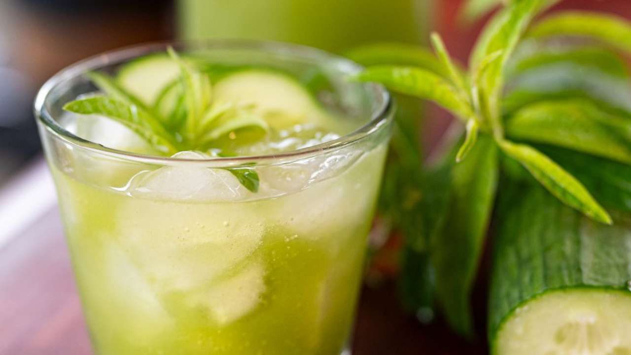 naturally fizzy lemon verbena soda in glass with cucumber slices and fresh herbs