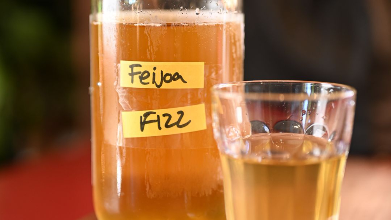 Glass of naturally fizzy feijoa fizz made from fermented feijoa skins 