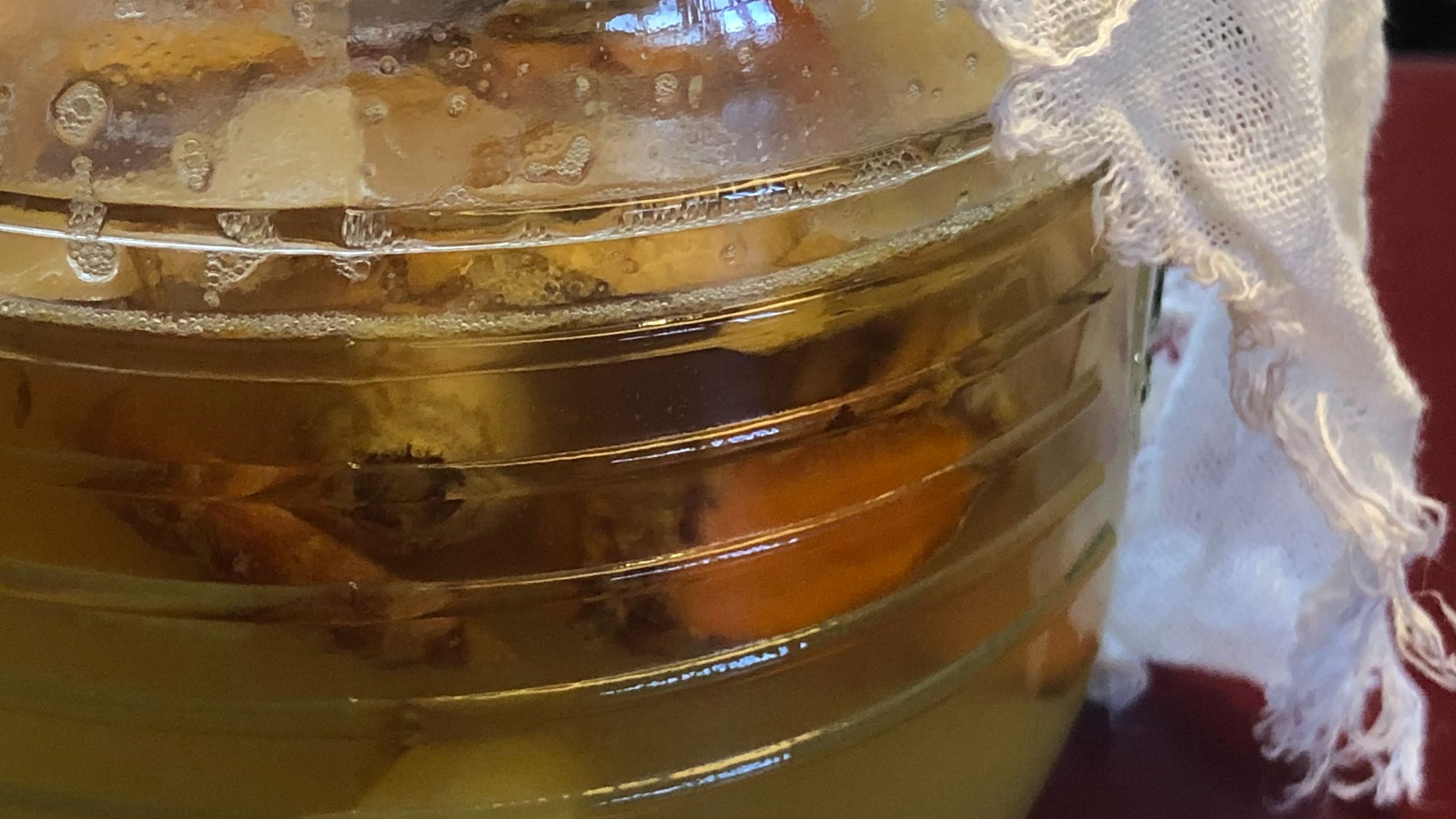 active ginger bug fermenting in glass jar with cloth cover showing bubbles