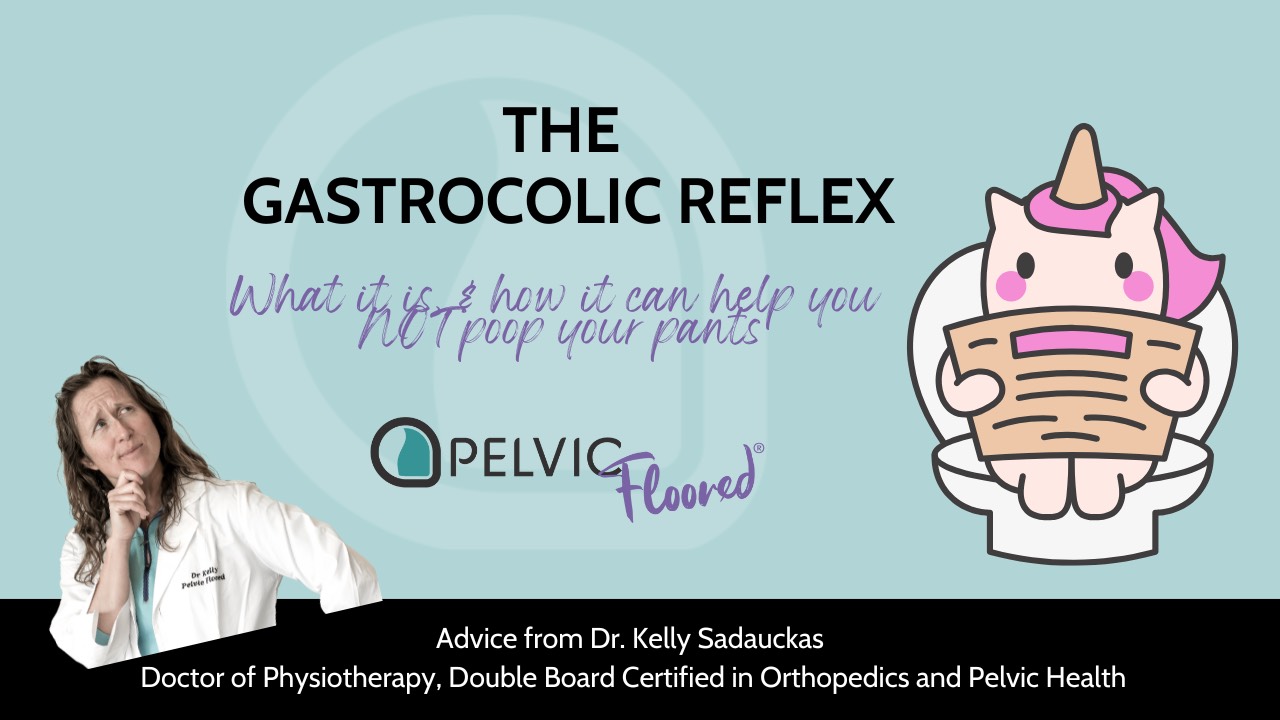 Text reads: "The Gastrocolic Reflex: What it is & How it can help you NOT poop your pants" above the Pelvic Floored logo. Background is Pelvic Floored Teal.  To the lower left is Dr. Kelly in her relaxed curls and white lab coat, looking questioningly at the text, while to the right of the text is a unicorn on a toilet, reading a newspaper.  The unicorn should be using a squatty potty for support, and not reading the newspaper, as their poop should take <1 minute, but as they are an imaginary creature, we will forgive them.