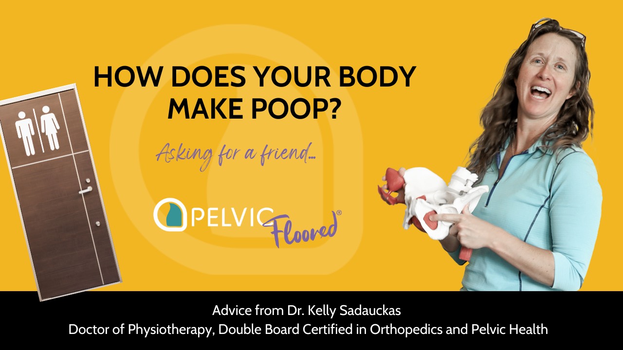Dr. Kelly is laughing relaxedly, while holding a pelvis, next to the text "How does your body make Poop?, sub caption "asking for a friend?" and a second image to the left of a bathroom door.  Lower caption reads: "Advice from Dr. Kelly Sadauckas, Doctor of Physiotherapy, Double Board Certified in Orthopedics and Pelvic Health" This post delves into specifics of how your body turns food into poop, and what are common causes of constipation and altered colic transit issues that pelvic physical therapy, and pelvic floor muscle awareness and exercise can address.