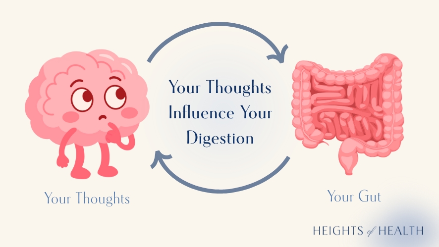 Thoughts influence digestion