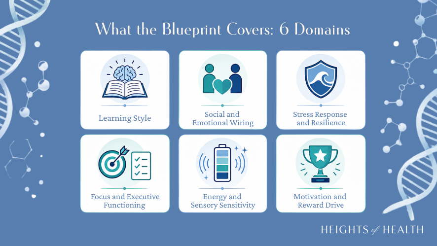 What the Blueprint Covers: 6 Domains