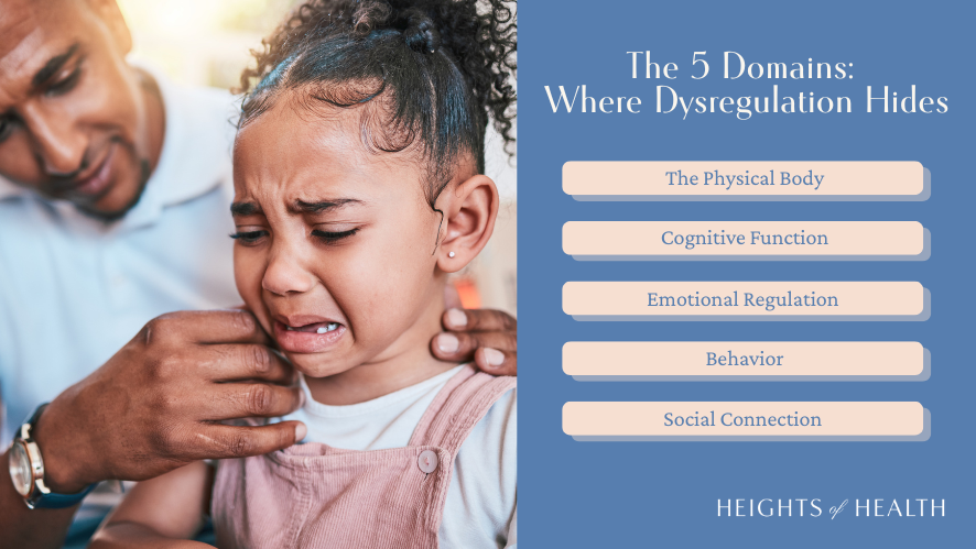 The 5 Domains: Where Dysregulation Hides