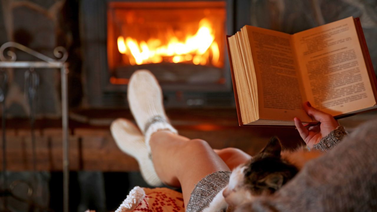 woman reading a book in front of a fire with a cat curled next to her