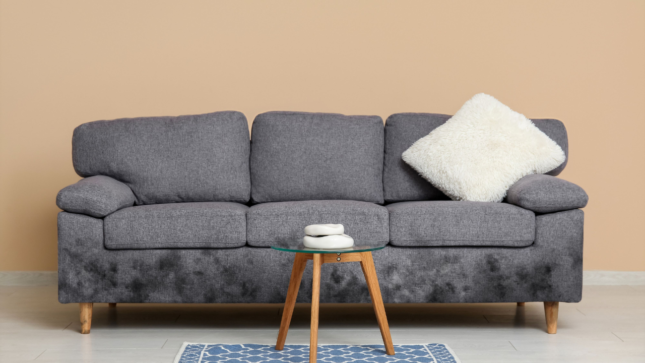 Is Mold Making-Your-Child-Sick-The-Hidden-Root-Cause-Behind-Eczema-Allergies- and-Fatigue; mold all over furniture