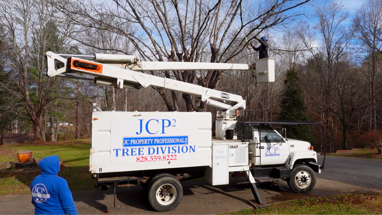 John Seaman cutting tree branches from a bucket truck while a ground crew member prepares for cleanup
