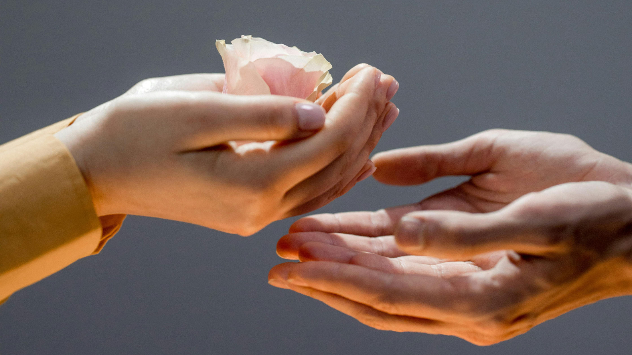Visualising the "Giver" dynamic in relational patterns: Two sets of pale, cupped hands gently exchanging a pink rose in profile, symbolising generosity, vulnerability, and the act of emotional offering explored at Intimata Oxford.