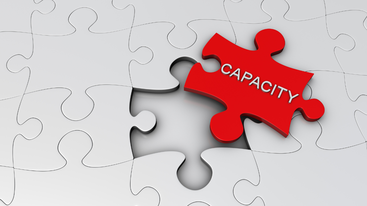 Demonstrating organizational capacity in a grant application with financial and project management strength.