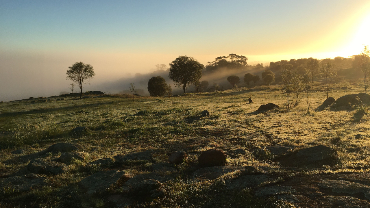 Quiet bush and granite landscape in Western Australia at dawn, evoking stillness and reflection