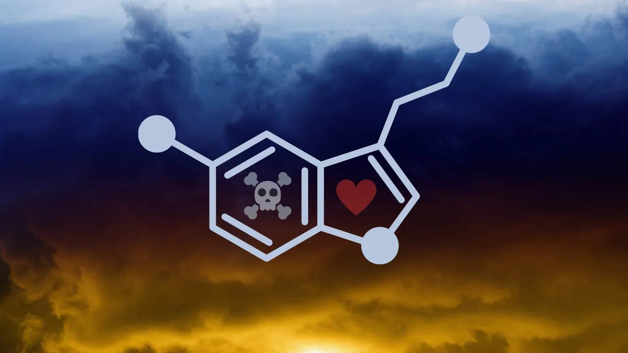 Healing States or Serotonin Toxicity?