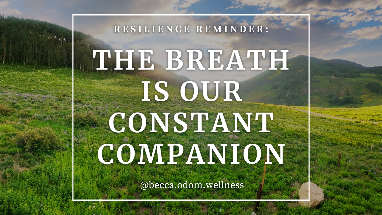 Trauma Informed Care Breathwork Tip blog image