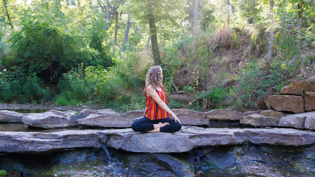 Polyvagal Theory & the Autonomic Nervous System blog image