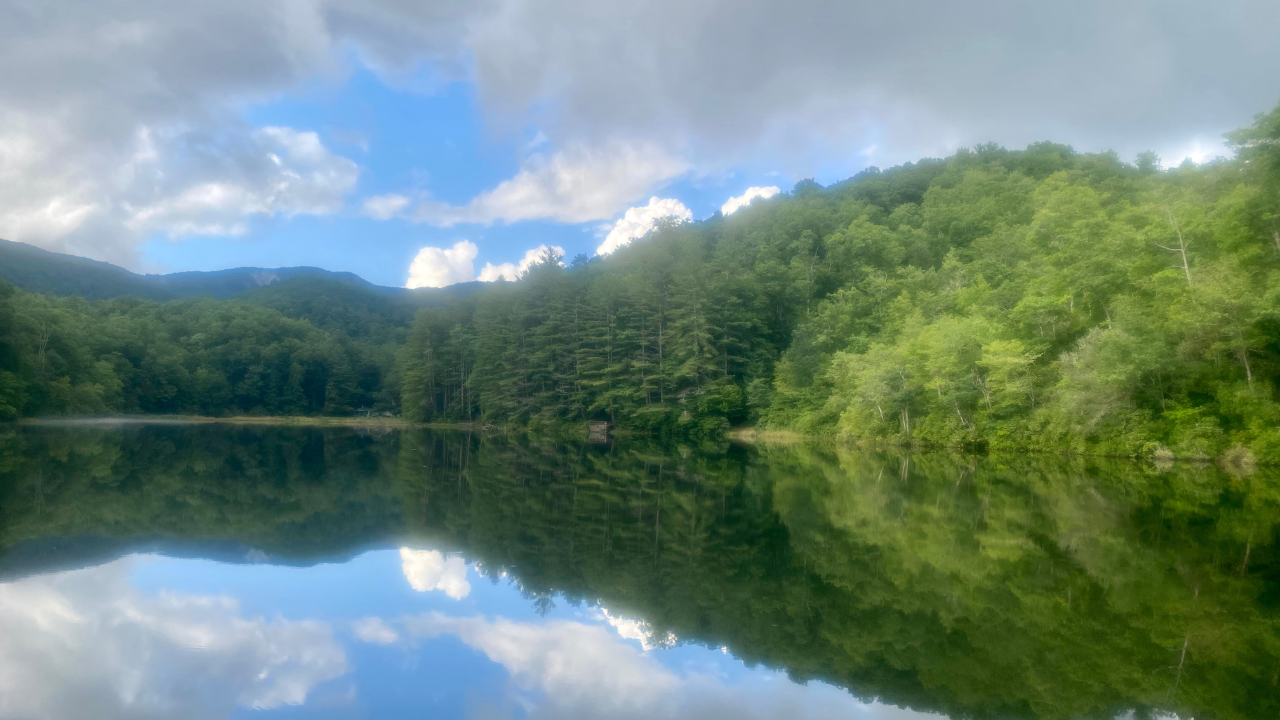 Nervous System Reset & Decompression Tools blog image