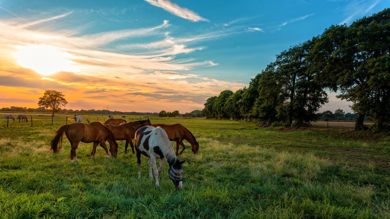 Putting the horse before the cart—building a solid business foundation before expecting clients to arrive.