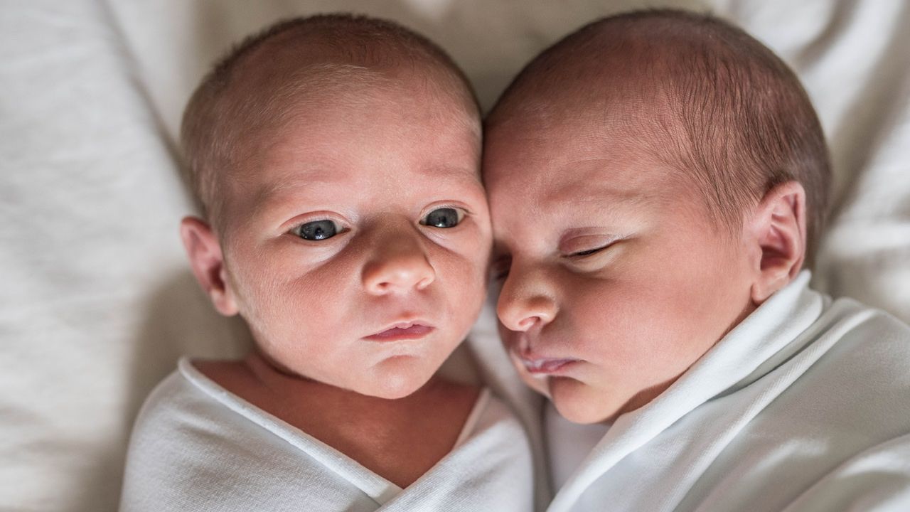 Twins babies
