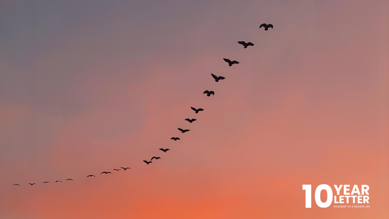Flock of birds flying in formation across the sky, symbolizing how the groups around us shape our direction and potential.