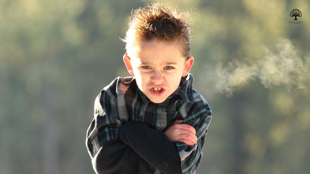 comportamente-dificile-copil-lovit-muscat-tipat-trantit-autoreglare-metode-validate-terapie-copil-invatare-gestionare-emotii-relatie-sanatoasa