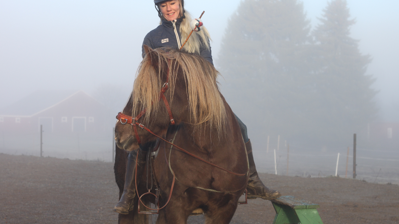horse at the mounting block