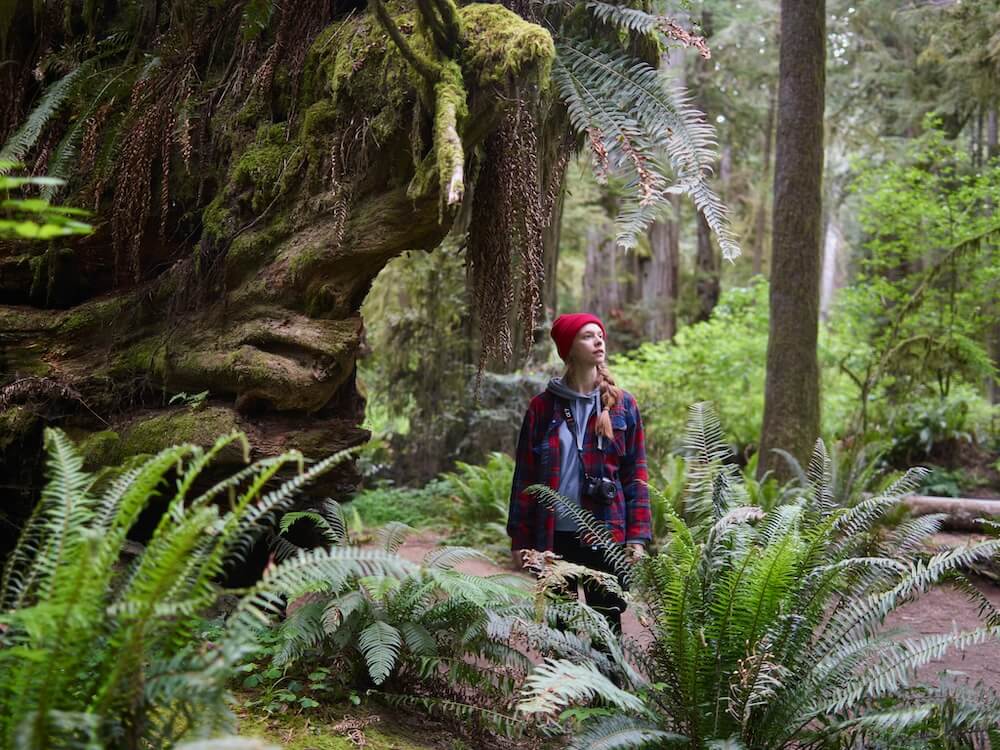 Woman in a red beanie and plaid jacket standing among ferns looking up in a mossy old growth forest | therapy for expats | international mental health support | find therapist abroad | Scotland | Canada | France