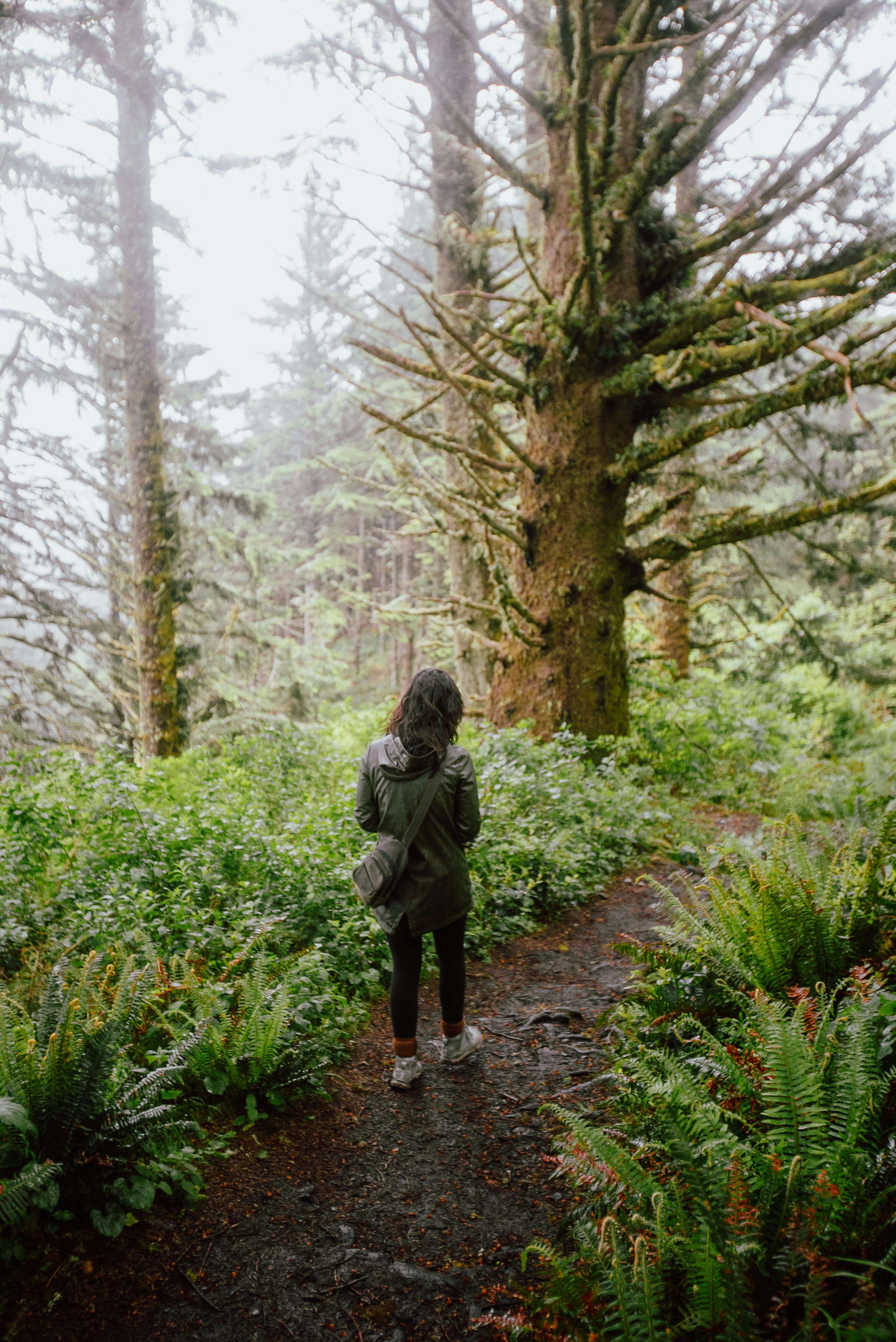 Woman walking alone on a misty forest path surrounded by ferns and tall trees | expat loneliness | international therapist | Scotland | Canada