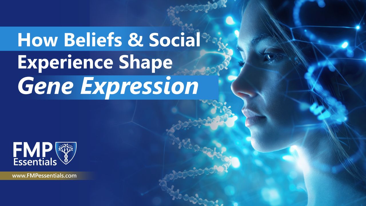 Illustration showing how beliefs and social experiences influence brain signaling, immune pathways, and gene expression through mind–body connections.