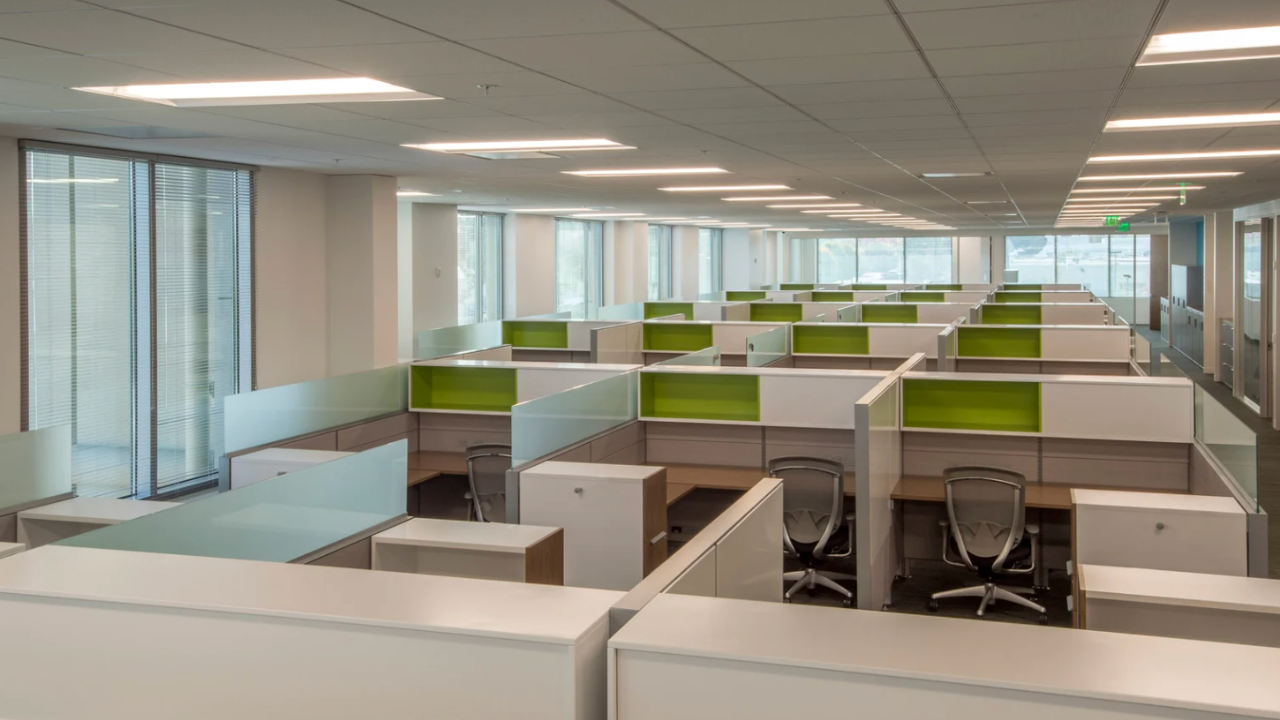 Digital Marketing Job Protection