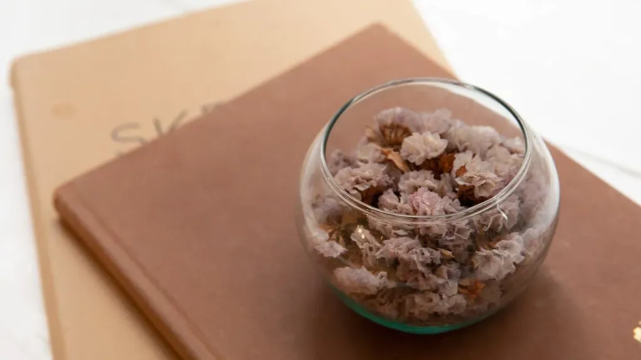 brown journal books prompts