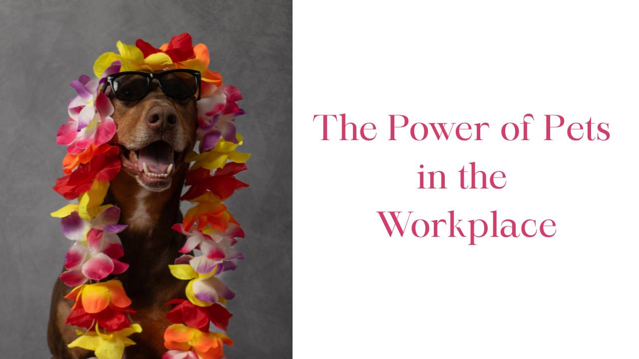 Pets in the Workplace