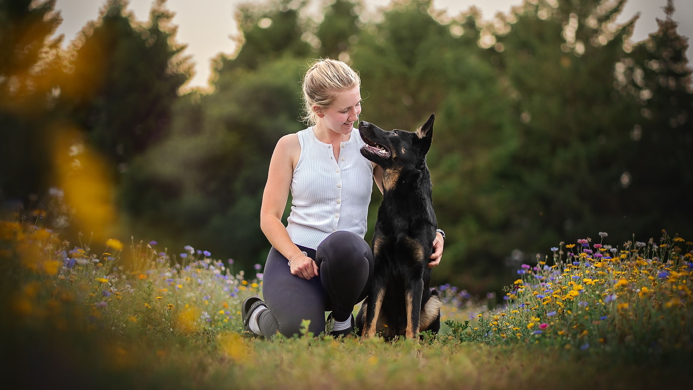 german shepard with dog traininer mantrailing
