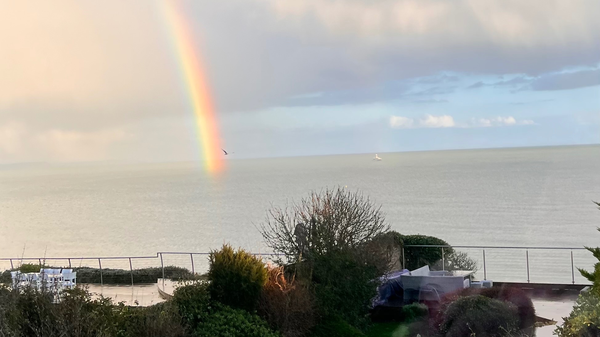 Rainbow in the sea from my window 🌈