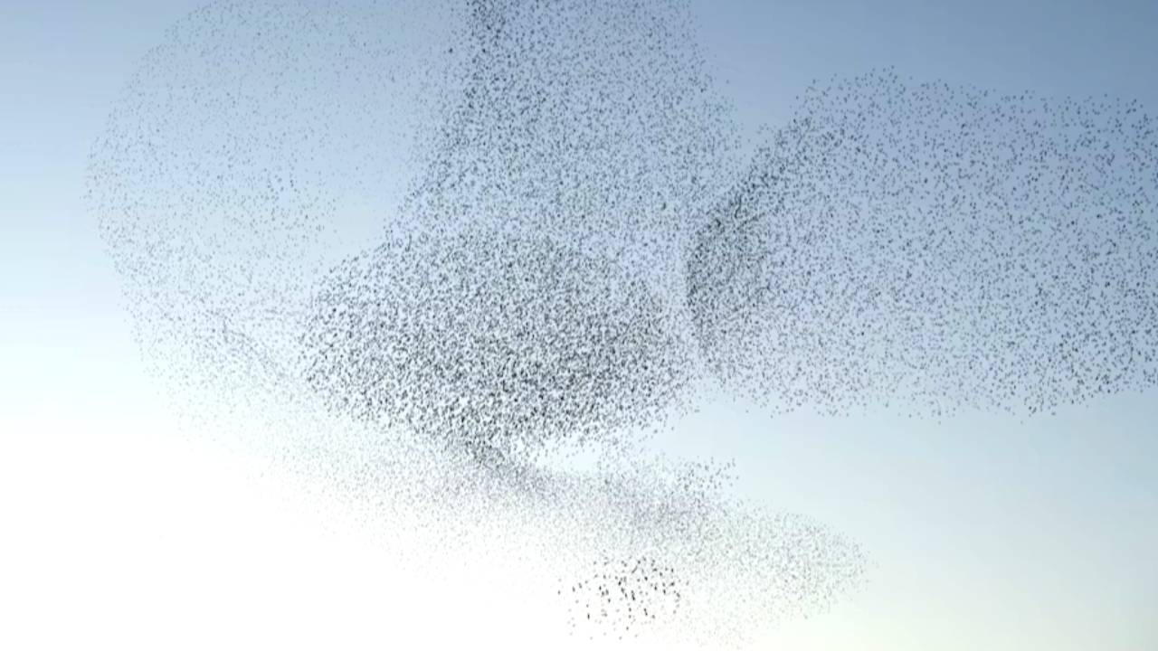 Move together, thrive together