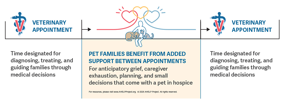AHELP Project - Pet families and vet teams need additional support between vet visits