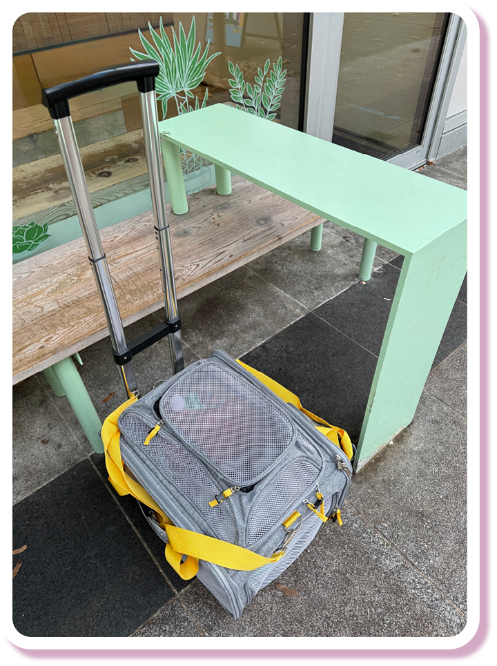 AHELP Project - Dr. Mansum's rolling cat carrier with handle for easy of traveling. This particular one has large zipper pockets to also hold supplies for your cat.