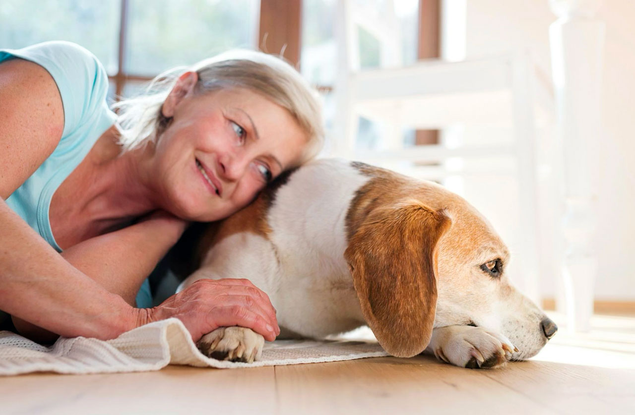 AHELP Project - Pet caregiver laying down on kitchen floor leaning on senior dog. With the right kind of support, it’s easier to relax and spend quality time together.