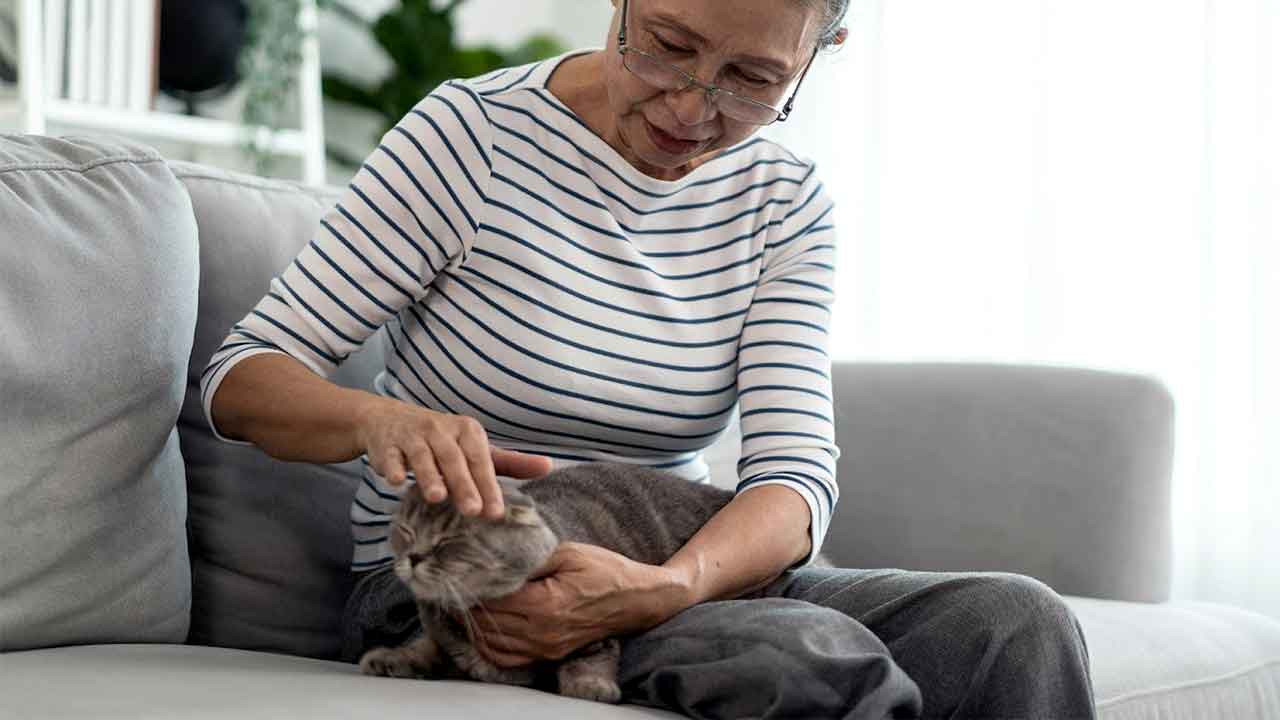 Photo of Mei sitting on the couch with Juniper. After her unresolved grief that came after her last cat Willow’s death, Mei learns to love again through her new, unique bond developing with gray tabby cat, Juniper. Photo of Mei sitting on the couch with Juniper. After her unresolved grief that came after her last cat Willow’s death, Mei learns to love again through her new, unique bond developing with gray tabby cat, Juniper.