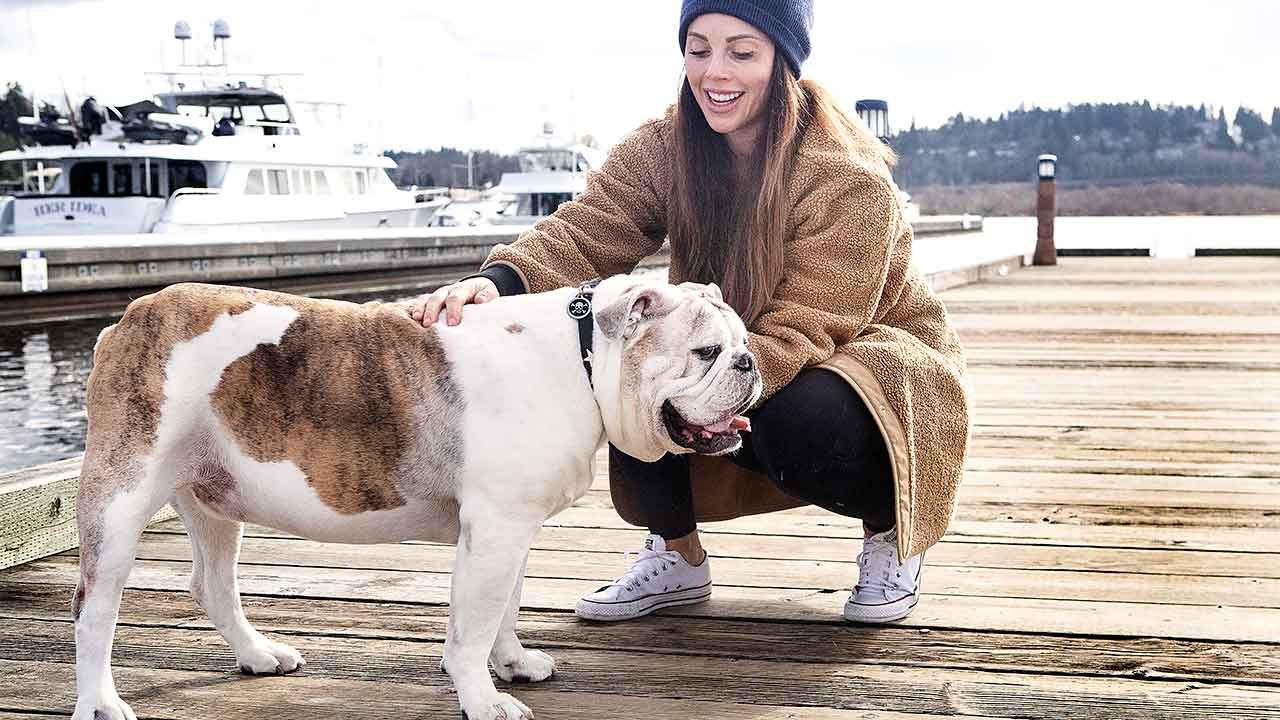 AHELP Project - Blog post, Layered Grief, Part 2: Healing Unresolved Pet Losses Strengthens Future Caregiving, photo of pet caregiver and senior dog on dock in the Pacific Northwest during the Winter time, photo credit: Julie Austin Photography.