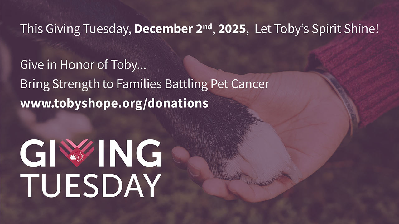 Support Toby's Hope at https://tobyshope.org/donations for Giving Tuesday December 2nd, 2025 Support Toby's Hope at https://tobyshope.org/donations for Giving Tuesday December 2nd, 2025