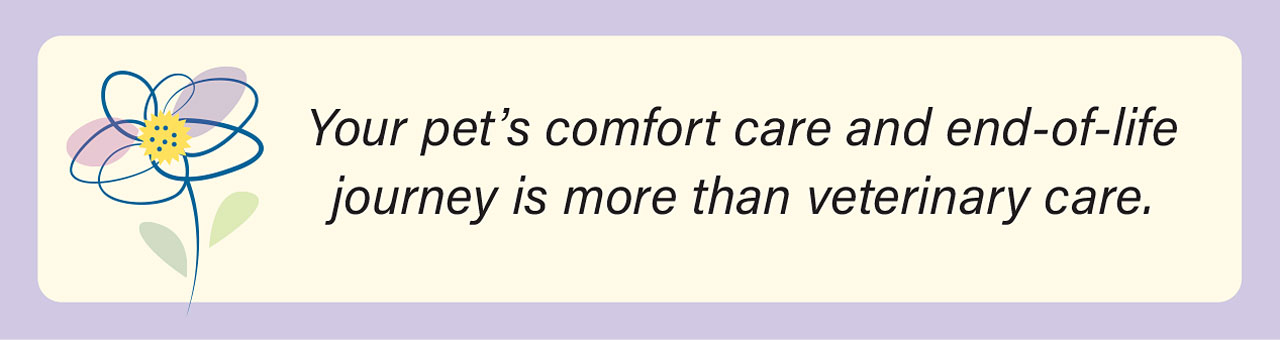 AHELP Project - Your pet&rsquo;s comfort care and end-of-life journey is more than veterinary care.
